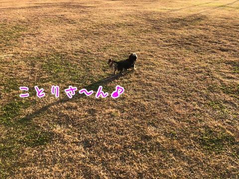 66C6EED3-B471-48DE-9C75-CFB5A511EF1F