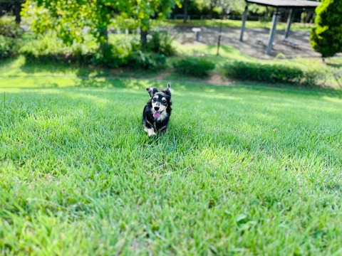 FC8B2DBB-2AC3-4B66-B151-031522E147CB