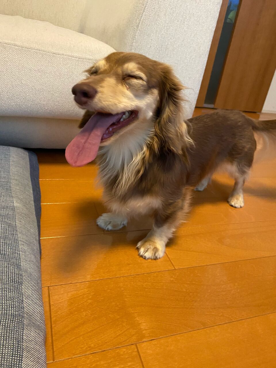 21年06月04日 Every Day Is A Good Day 21年06月04日 Every Day Is A Good Day