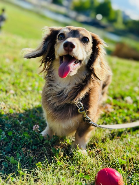 A6B66B34-35DF-487E-B8F8-69FC7F399889