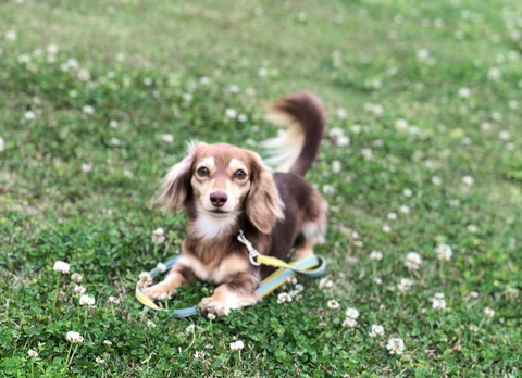 0A05200D-7193-4EB4-87B6-29761D6AAE0D