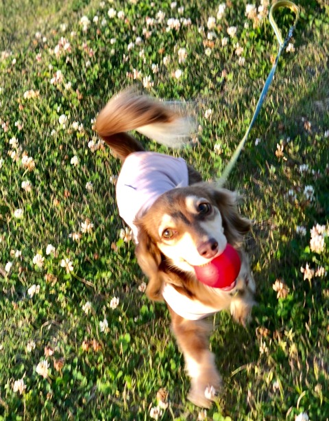 EB523FFE-E195-4252-B59B-071ABD951533