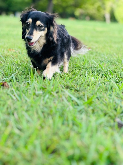 EB615EB7-B5F4-4338-B1D8-D0A3C3603273