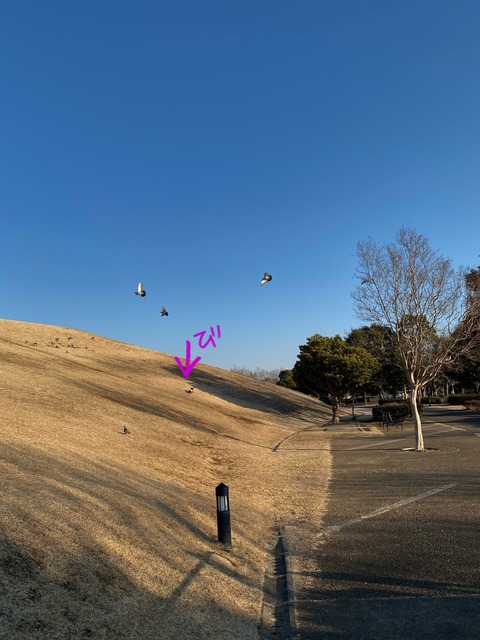 0EE80335-6AE2-49AF-946E-54D1DF9B0EEF