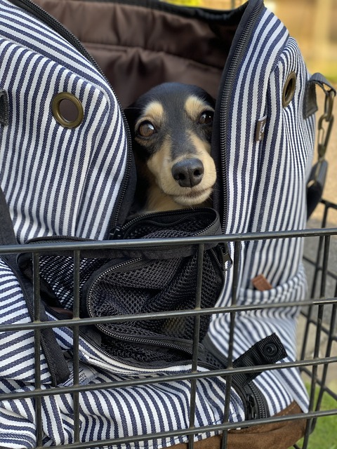 2288E962-EBCB-4D20-B03D-C8C2ECE80ED5