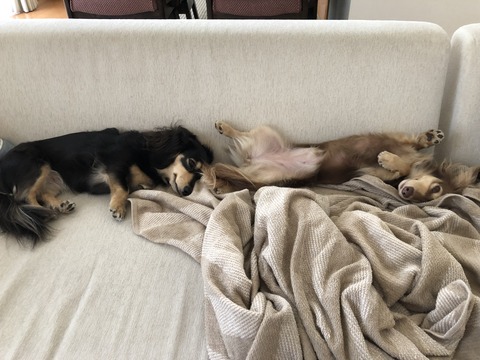 FB0BAE73-85E5-409C-A143-F2824112BF36