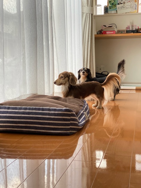 D33CD0CD-5159-4E81-88FE-734F456F881D