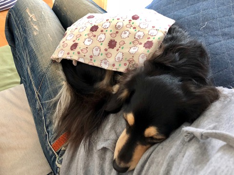 8ACA17EC-AEBF-46D2-BE17-CBB46CD5E1C3