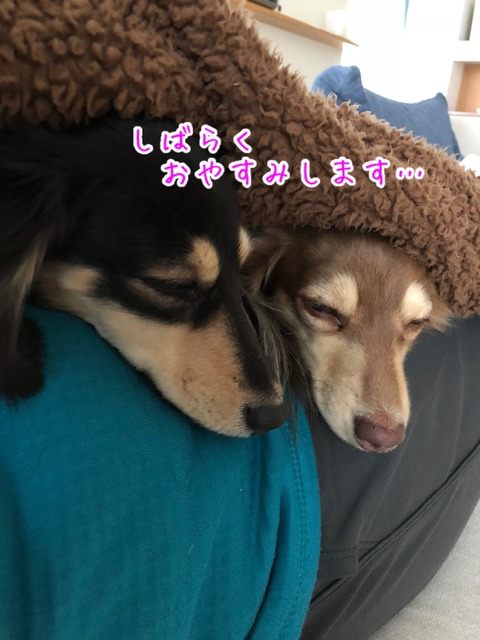 5A71BB2B-165C-46AB-9D72-4D5BD8B80EFF