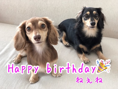 74B94194-70A1-44F7-A87A-7D176855103A