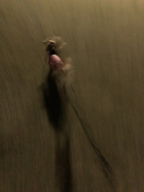 6609CD3B-310A-4F80-B985-0C4727A5F3F5