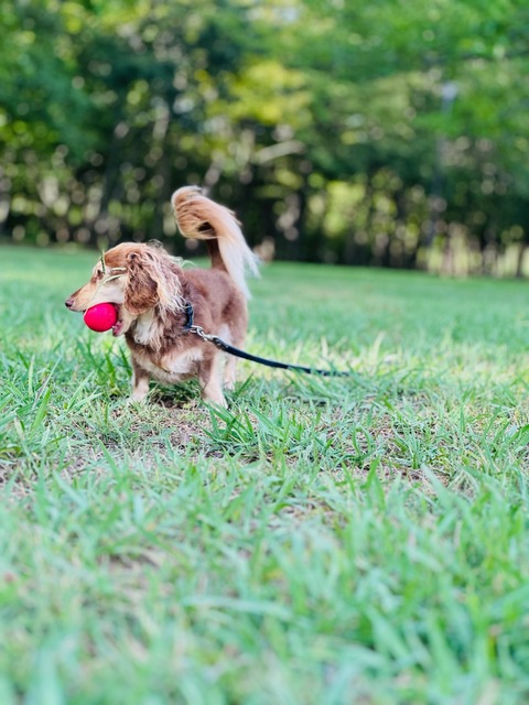 1D4F4F6C-7EBD-4DFA-8021-9F25DCBA1F9C