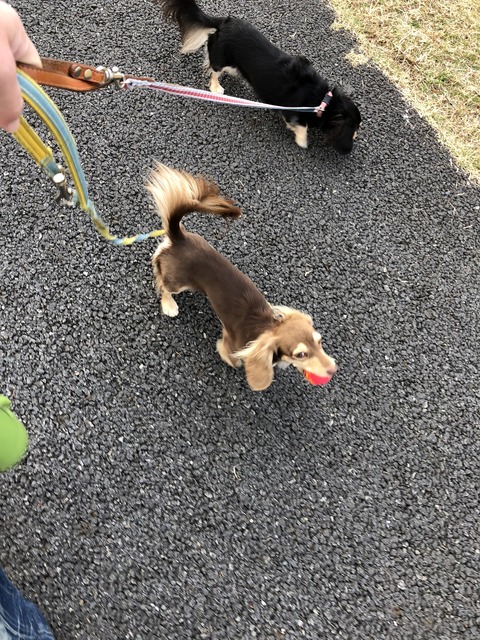 DF1FEDA6-A9E5-40A7-82F8-4A103B9DE5D2