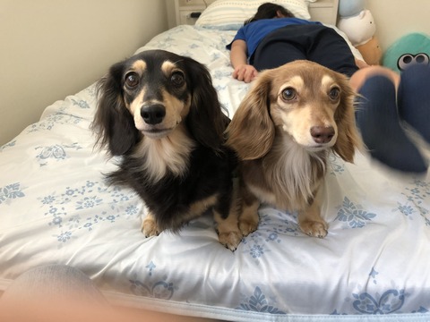 65D36EFC-3ED6-4722-8082-CB5B9676F289