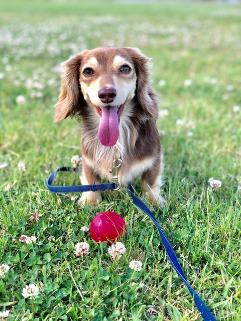 3D6837FB-BF11-41C4-AEE9-7C592BD76F0E