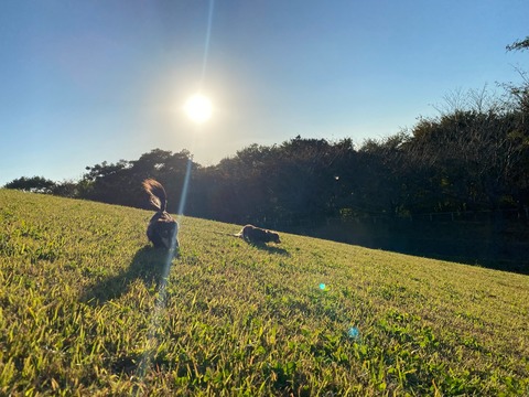 418E8722-E994-47F2-A917-FA827D0ADADD