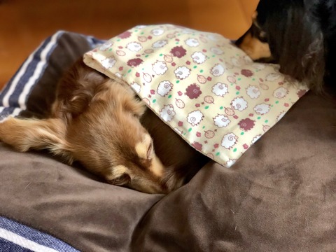 05680FDC-67BB-475E-A071-60ECE5B89539