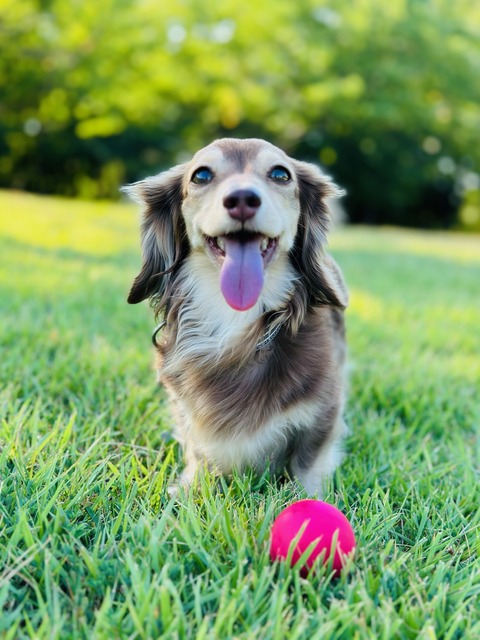 7ACB7FFB-3C73-4E1A-8D96-057E2C4D9475