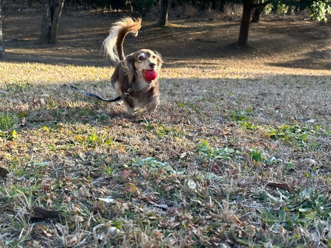 84B8599B-A750-4574-AA73-1513AFB58406