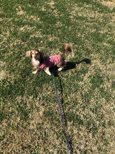 6FE7F007-DC5C-47AA-B2EE-B6B6B9E1ED41