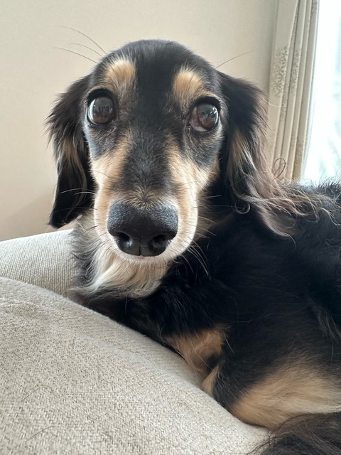 CB871DCB-FD06-417B-8728-62A94FDB11B0