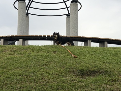 F88ACF8A-A129-4C52-97A3-5E5EA536ED22