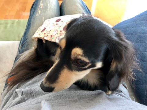 5A571DAC-38A9-4A89-A01D-90D15463CBD8