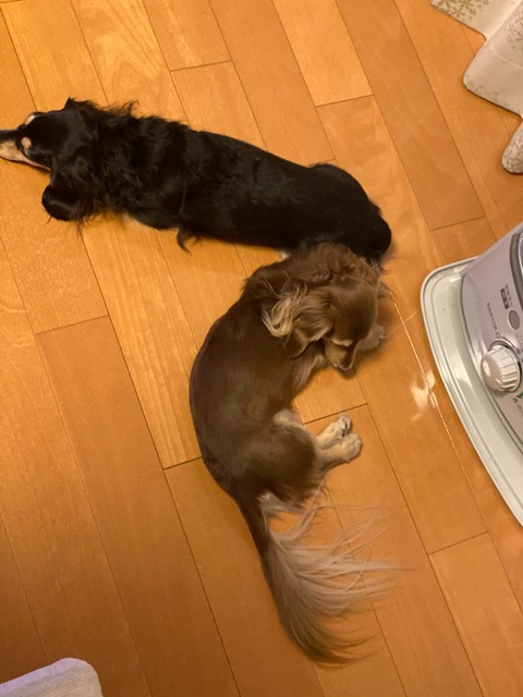 0FE8A9F3-787B-452B-AC3C-B356C130527D