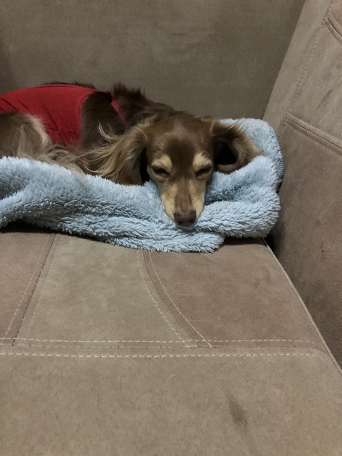 A0102417-864B-43B3-8376-4A042B33EEAC