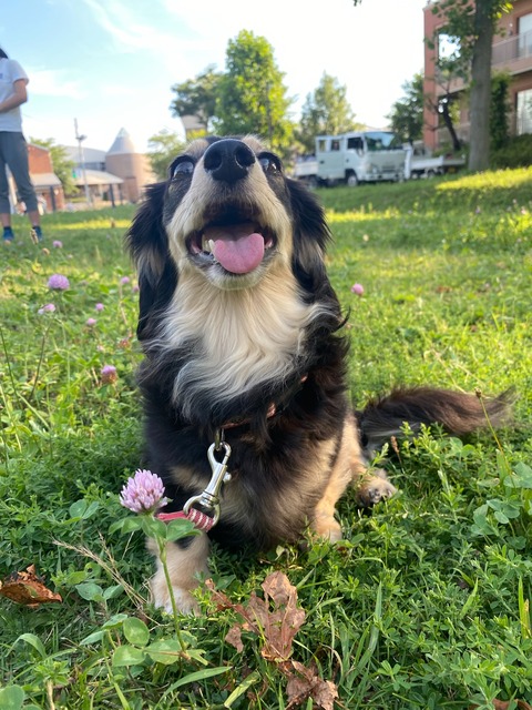 7D4CF1A0-61FF-4458-AD25-05429F360602