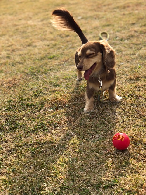 59D0FC9E-1E5F-41CA-8E88-DF0CB710D51D