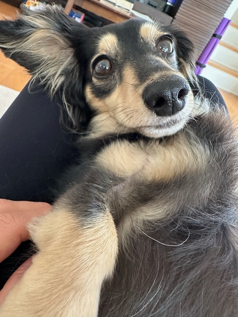 D324B5AD-1490-4D89-92F6-240CE06EADBB