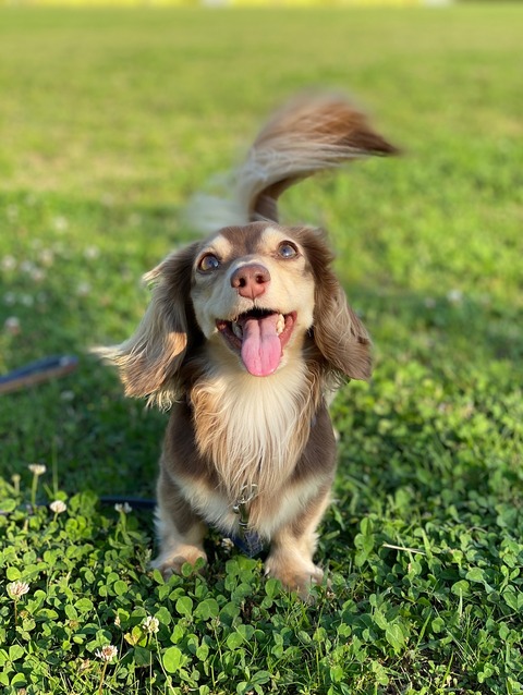 DD87AADD-643C-4B34-8E48-22FFAA47C812