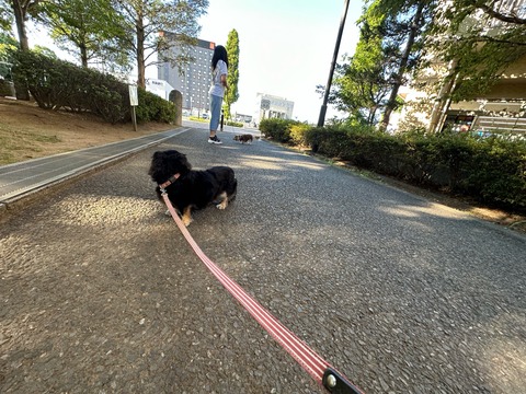 D766DD8C-4055-4CBC-BEE9-178FD085A701