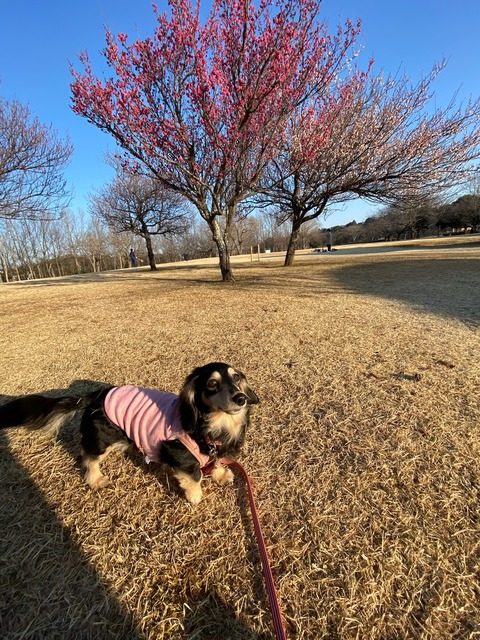 7B897D90-2157-43B4-9F7F-B2CF05E2DFCE