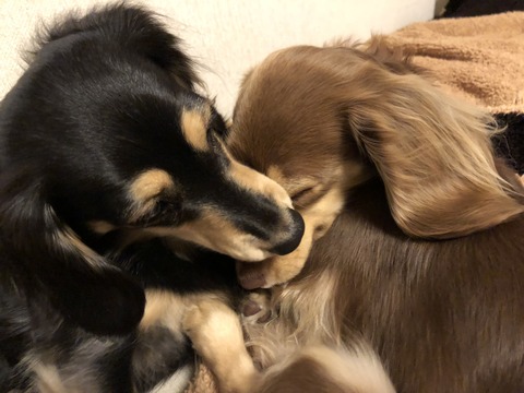 97D5EAA6-59AC-4563-9062-5CA6F88F6663