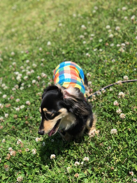 E4432362-AFAA-4008-9EF6-E6A9773D315D