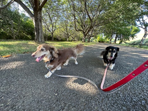 9A4CF0B2-C4E6-4A3D-95C3-32C06C0FE6EB