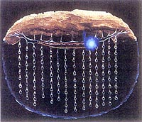 面白生物シリーズ第2弾 いろいろな光る生物 ネタの4次元ぽけっと neta 4d pocket 面白生物シリーズ第2弾 いろいろな光る生物 ネタの4次元ぽけっと neta 4d pocket