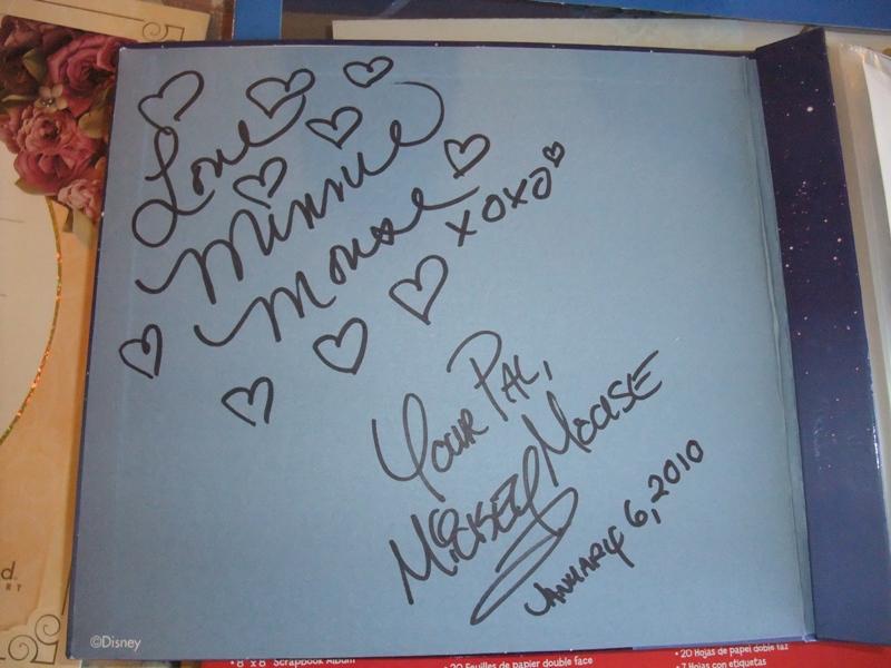 Ftw In Dlr ディズニーランド挙式 いただきもの びびの気まぐれ日記 ディズニーな結婚式と徒然なるままに