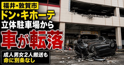 画像 1384