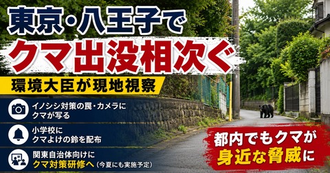 画像 798