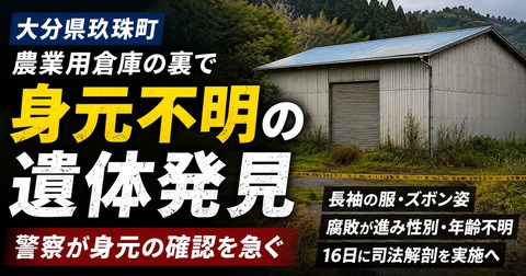 画像 991