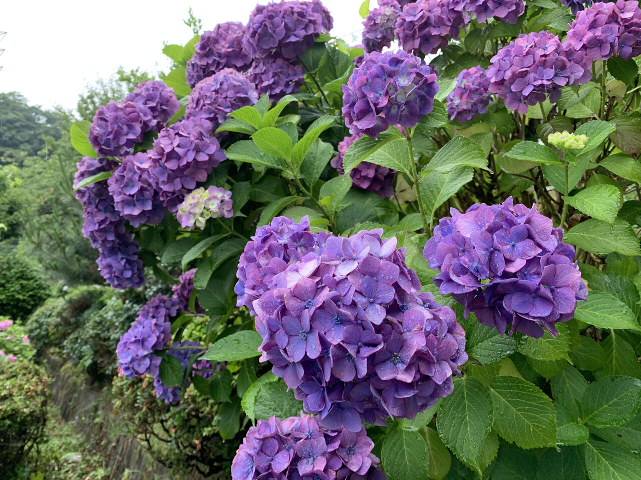 救出劇 ありがとうございました 本日は出演者による作品振り返り座談会だよ ビビの役に立たないシナリオ