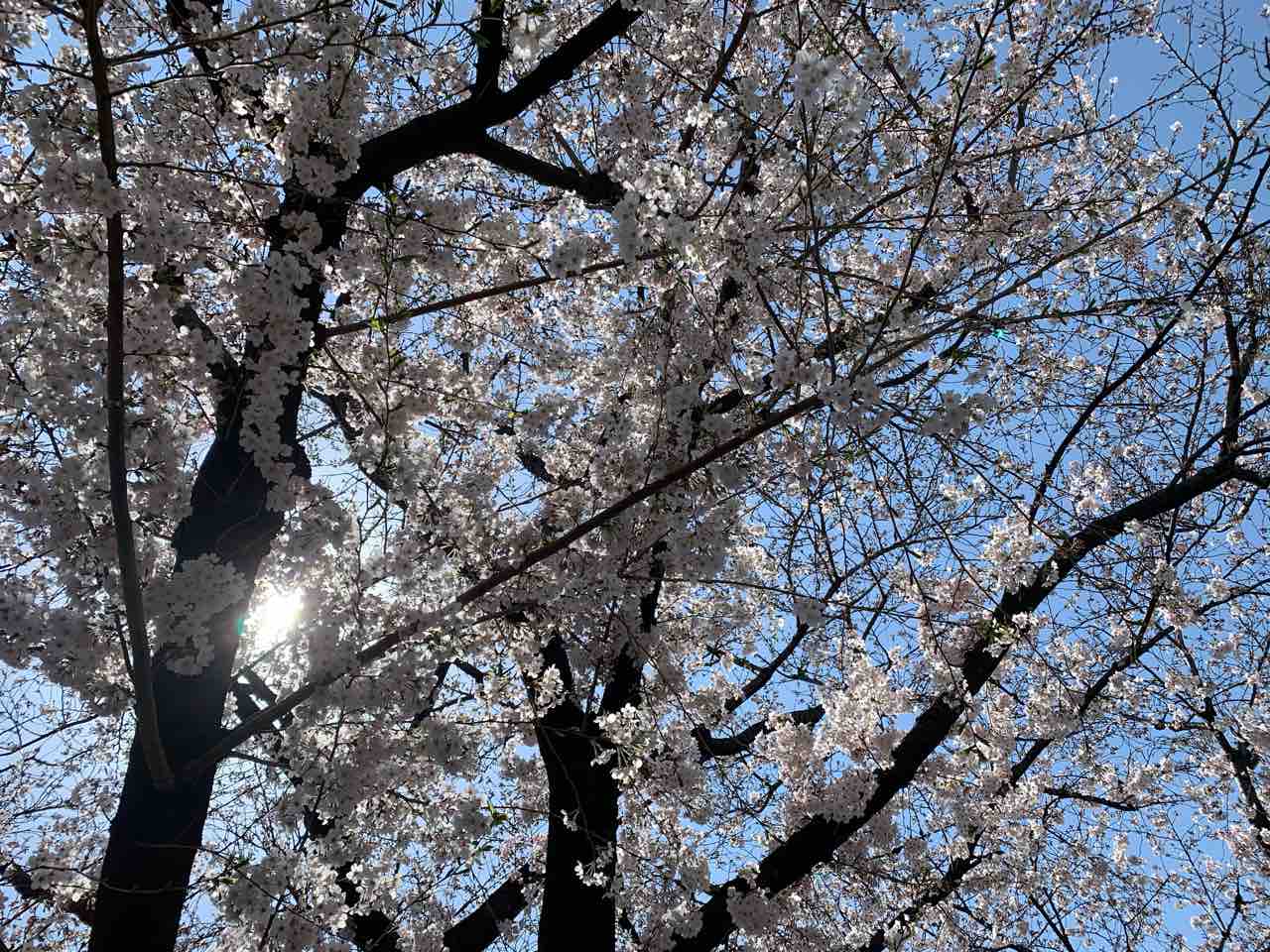 ビビの役に立たないシナリオ ビビの役に立たないシナリオ
