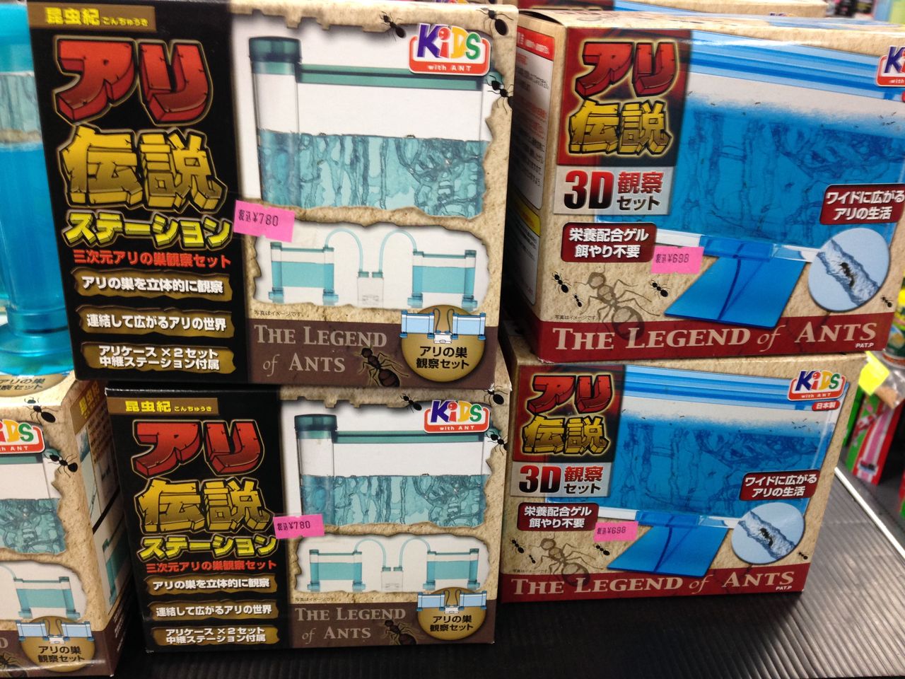 アリを観察してみませんか 熱帯魚屋vivid 2f飼育器具コーナー