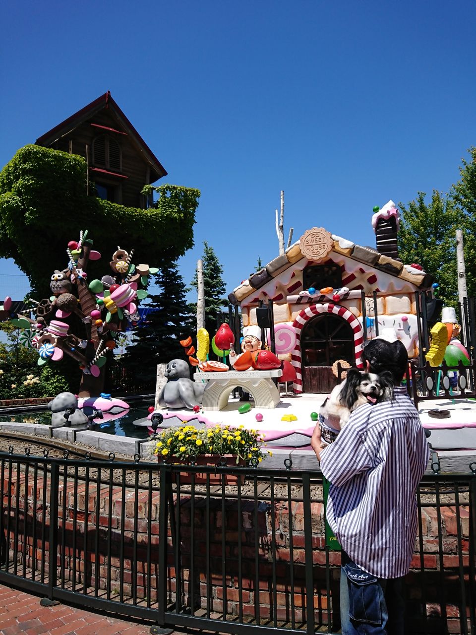 ヴィヴィたんと登別 小樽 札幌旅行 パピヨンのヴィヴィたん