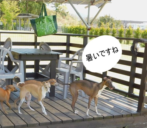 278420018_5024256734331005_2848858948103270540_n