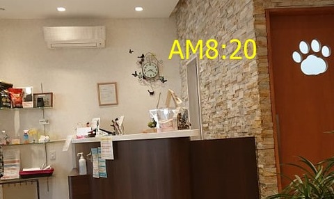260515809_435901251427139_823337411764751617_n