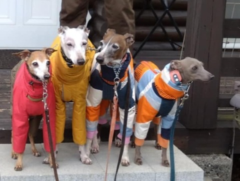 18952766-7544-443c-9918-13adf3c37755